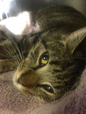 . Olivia-I am a petite little jewel !! .