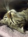 . Olivia-I am a petite little jewel !! .