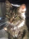. Maroney- I am super-sweet ! .