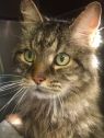 . Maroney- I am super-sweet ! .