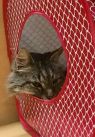 . Maroney- I am super-sweet ! .