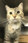 . Ruth- I am shy, but oh so sweet ! .