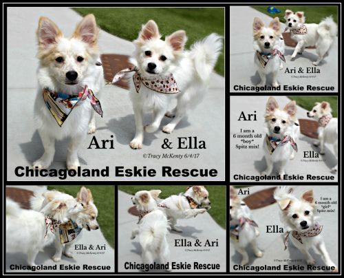 Ella & Ari
