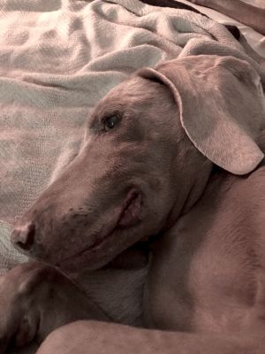 . Mia .