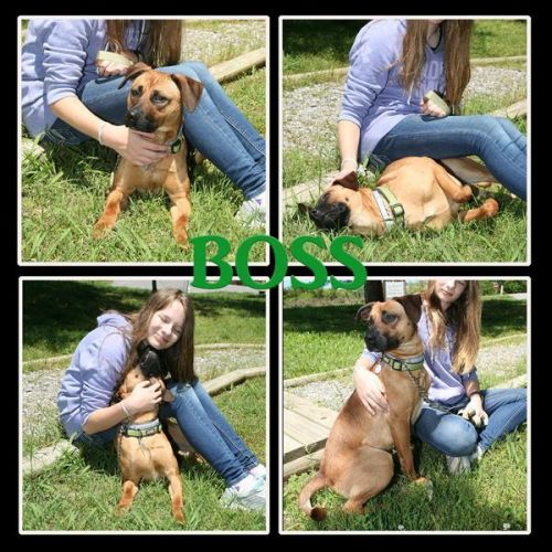 . Boss .