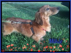 . Mikie .