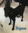 . Bryson .