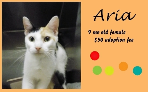 . Aria .