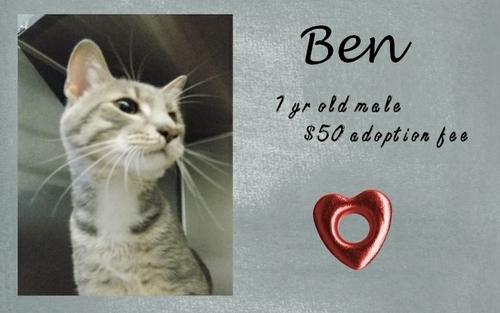 . Ben .
