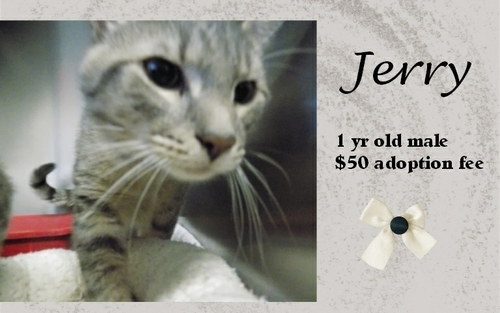 . Jerry .