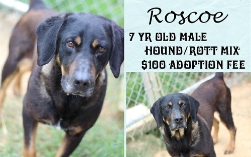 . Roscoe .