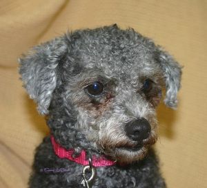 . MAGGIE .