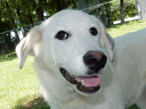 . Meeka 5357 .