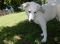 . Meeka 5357 .