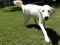 . Meeka 5357 .