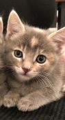. Lucy (bonded to April) .