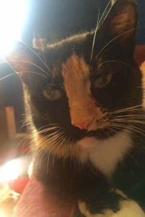 . Gwen-