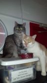 . LOUISE&TANMAN .