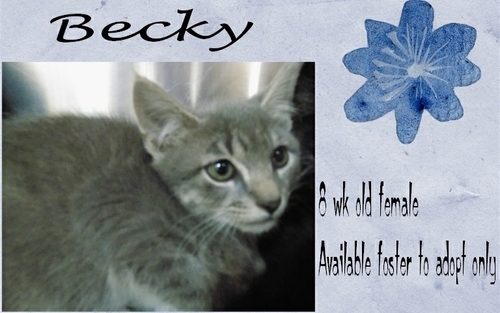 . Becky .