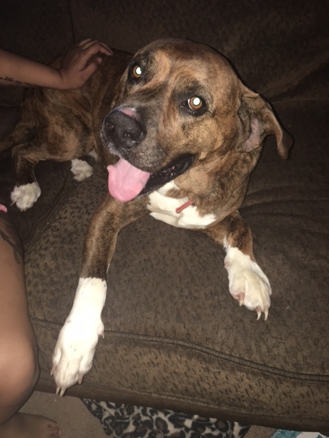 . Micah - URGENT!!! .