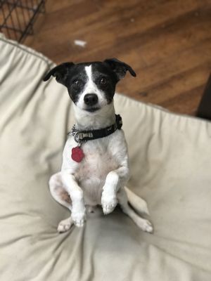 . TJ .
