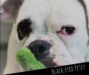 . Petey .