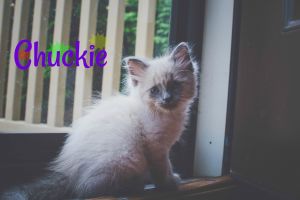. Chuckie .