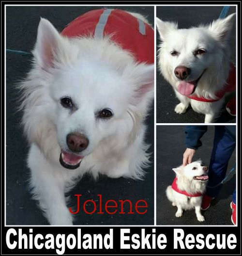 Jolene