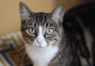 Beatrice - MEET ME @ PETCO!