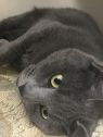 . Kalinda - I'm at Pet Supplies Plus in Bedford NH .
