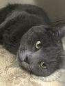 . Kalinda - I'm at Pet Supplies Plus in Bedford NH .