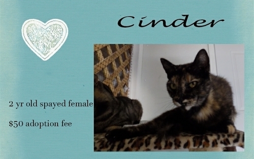 . Cinder .