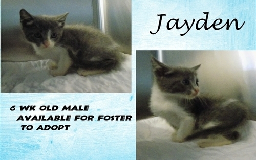 . Jayden .