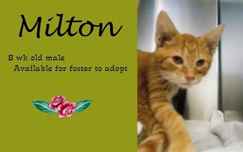 . Milton .