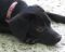 . Sheila! Precious! .