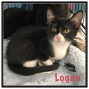 . Logan .