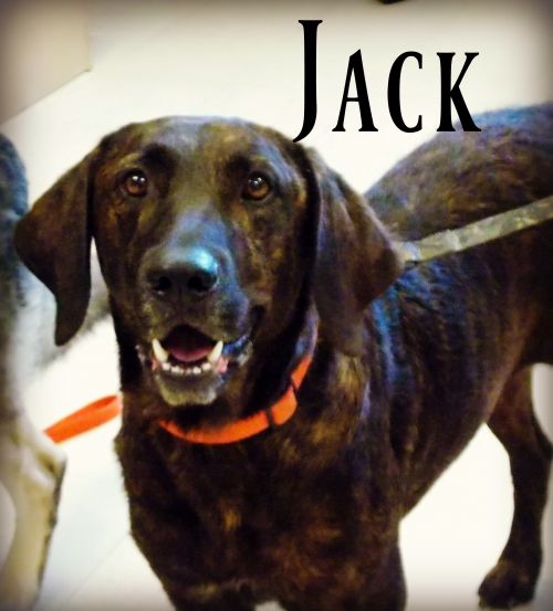 . Jack .