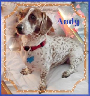 . Andy .