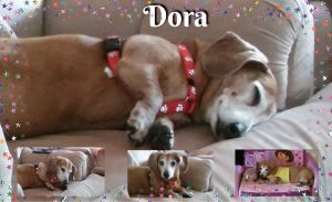 . Dora .