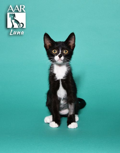 . Luna .