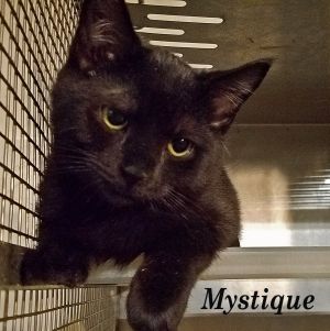 . Mystique .