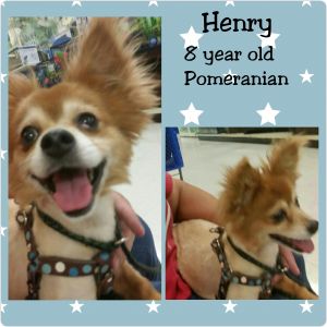. Henry .