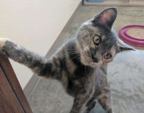 . Mimi .