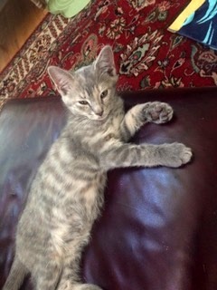 . Chloe .
