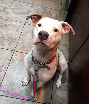 . Pippa .