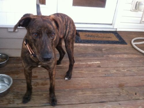 . Remington URGENT!!! .