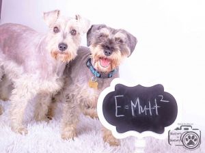 . Jordy & Einstein .