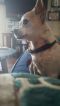 . Princess - 5 lbs! .