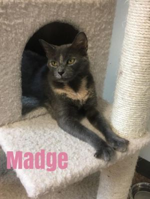 . Madge .
