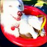 . Casper .